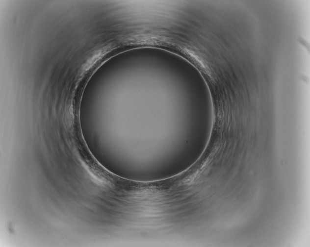 X0000099480674200805091609