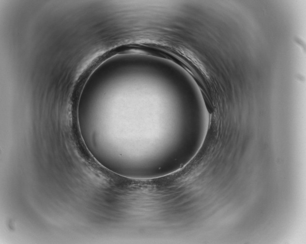 X0000099480676200805091609