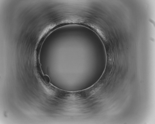 X0000099480678200805091609