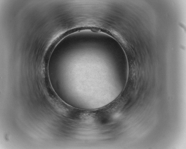 X0000099480680200805091609