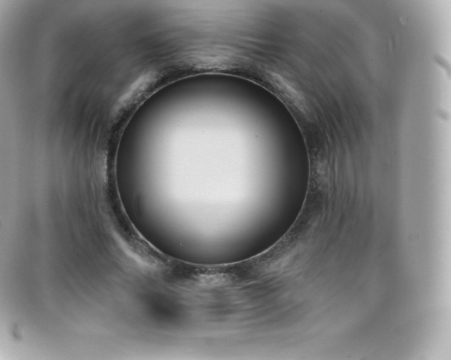 X0000099480686200805091609