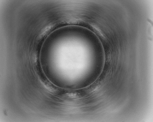 X0000099480687200805091609