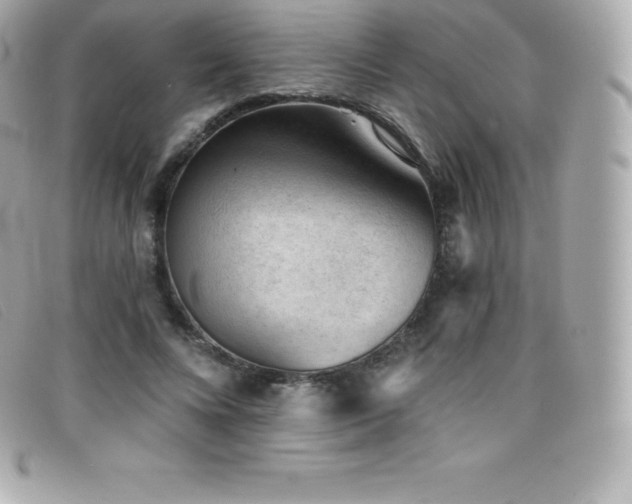 X0000099480688200805091609
