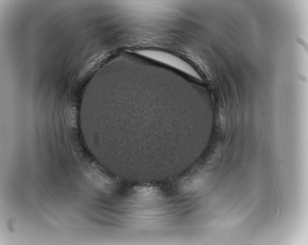 X0000099480689200805091609