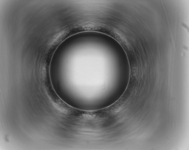 X0000099480690200805091609
