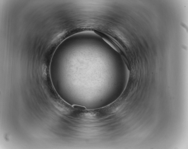 X0000099480692200805091609