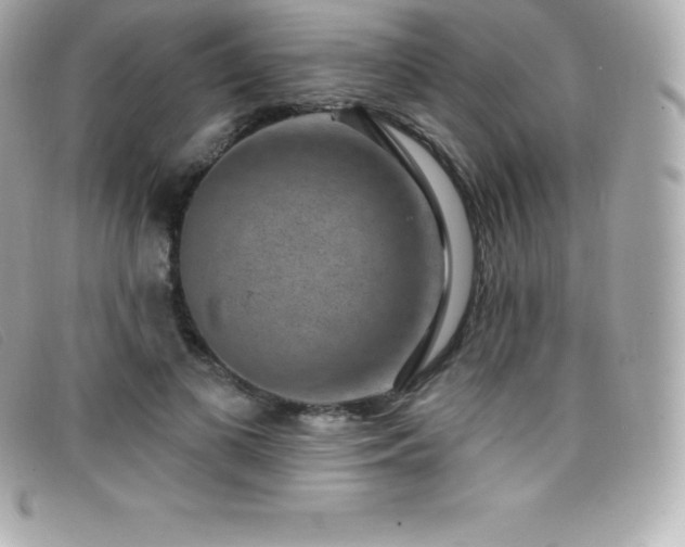 X0000099480693200805091609