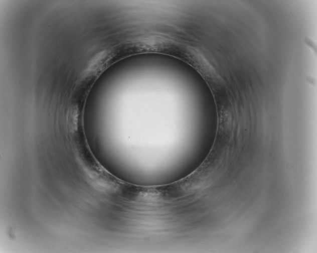 X0000099480694200805091609