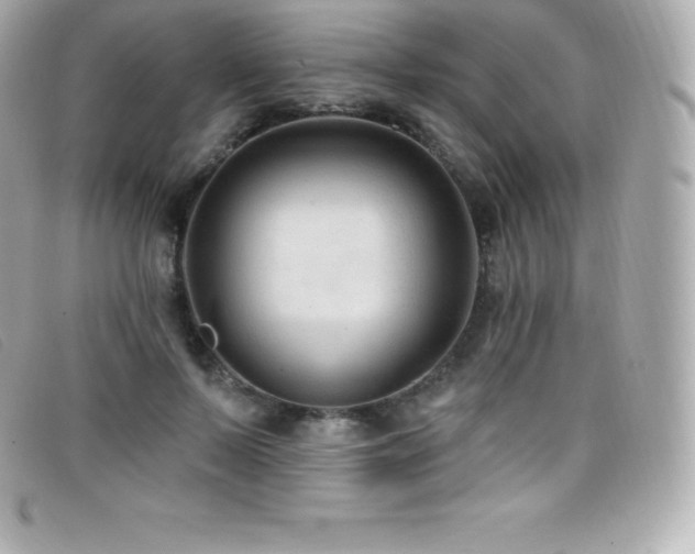 X0000099480695200805091609