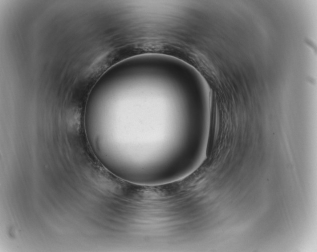 X0000099480697200805091609