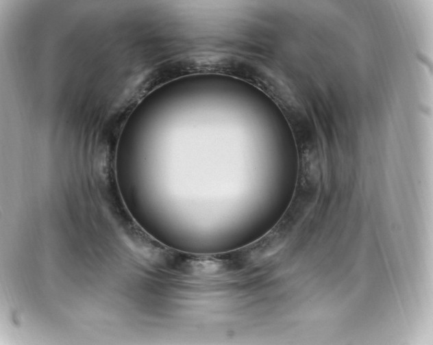 X0000099480698200805091609