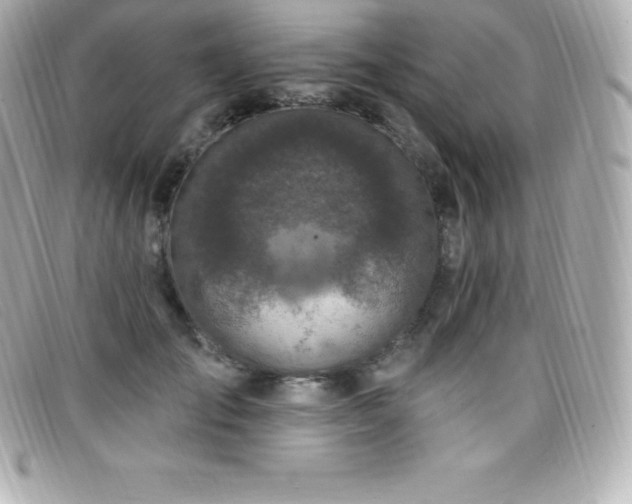 X0000099480701200805091609