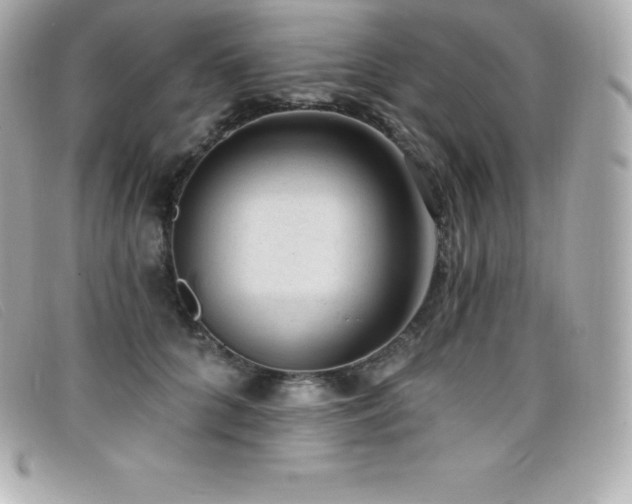 X0000099480704200805091609