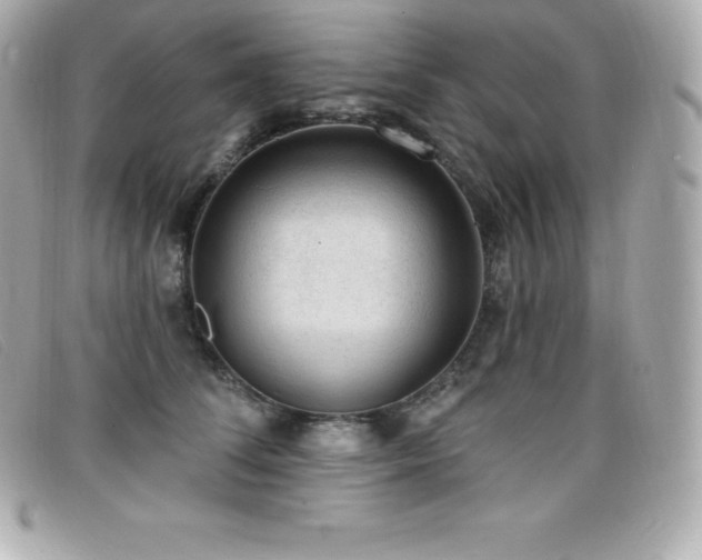 X0000099480708200805091609