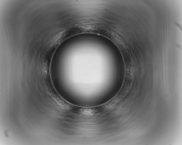 X0000099480710200805091609