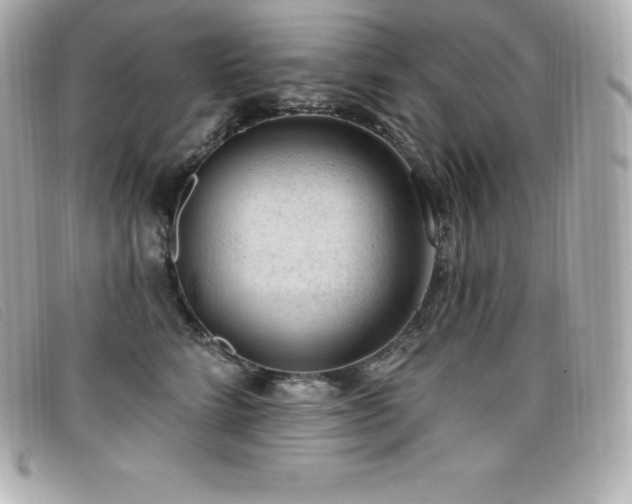 X0000099480712200805091609