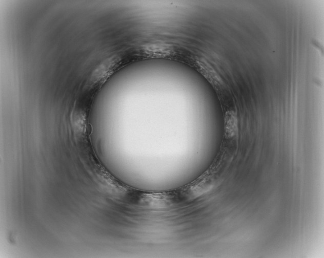 X0000099480713200805091609