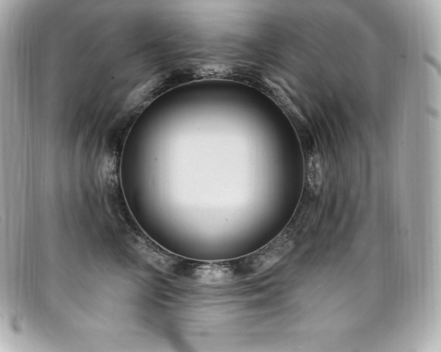 X0000099480714200805091609