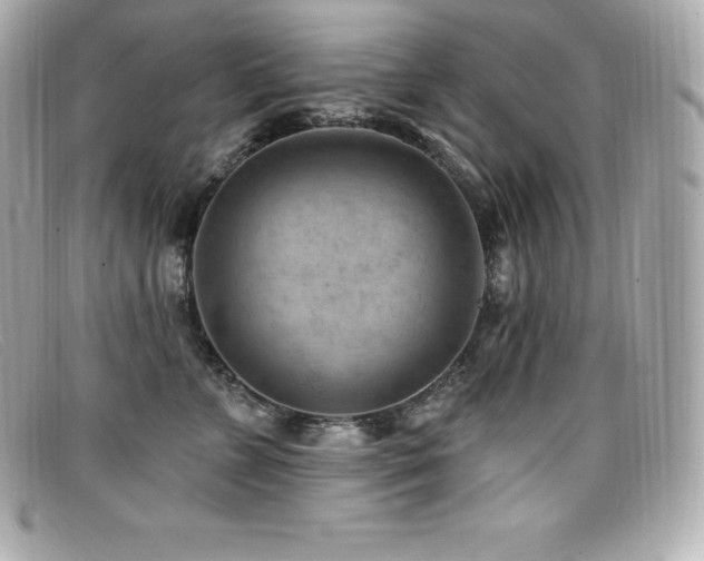 X0000099480715200805091609