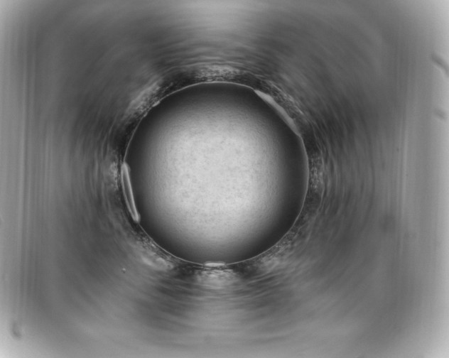 X0000099480716200805091609