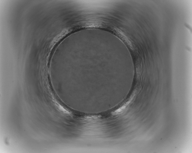 X0000099480721200805091608