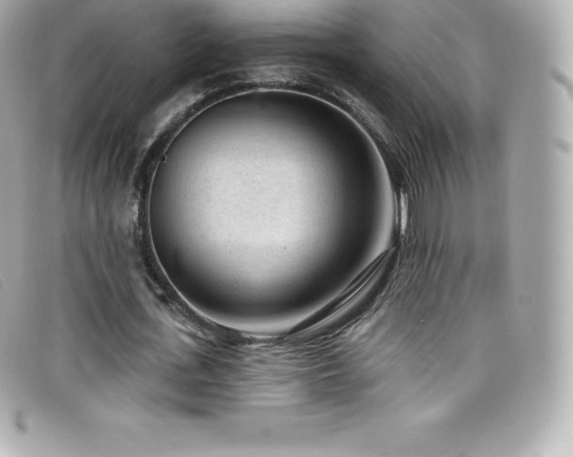 X0000099480723200805091608