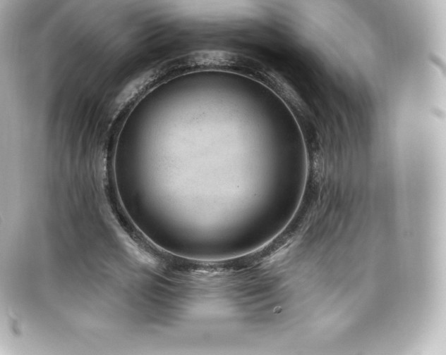 X0000099480725200805091608