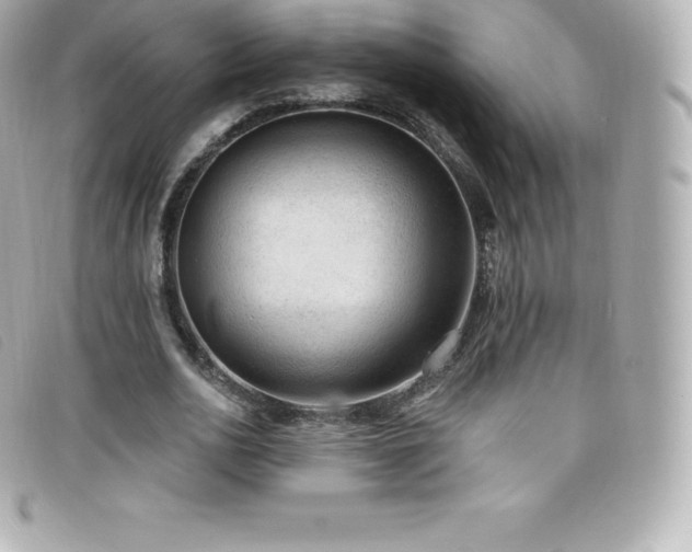 X0000099480726200805091608