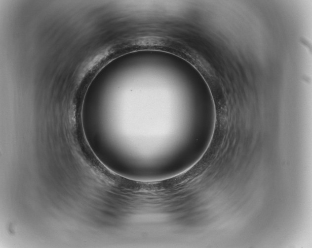 X0000099480727200805091608