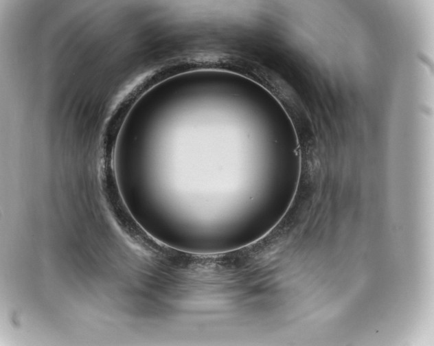 X0000099480728200805091608