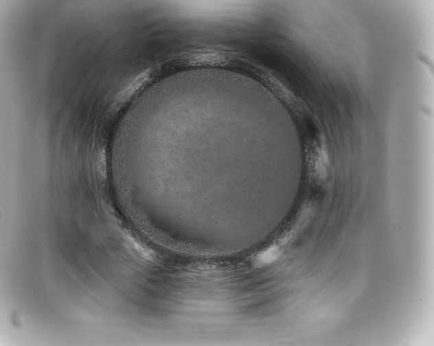 X0000099480729200805091608