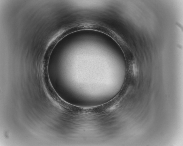 X0000099480730200805091608