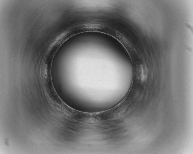 X0000099480731200805091608