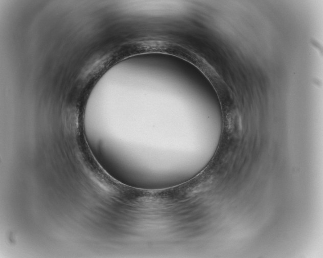 X0000099480733200805091608