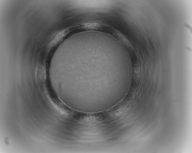 X0000099480734200805091608