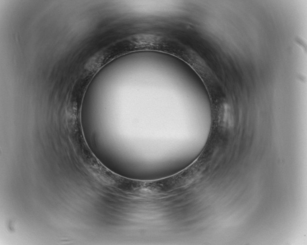 X0000099480737200805091608