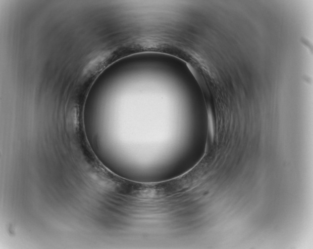 X0000099480740200805091608