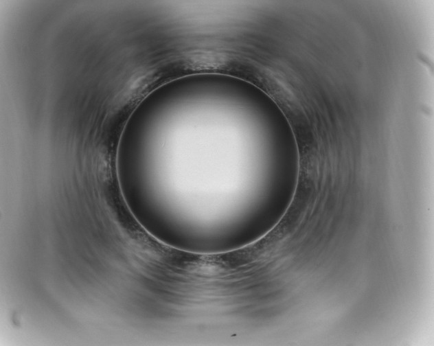 X0000099480743200805091608