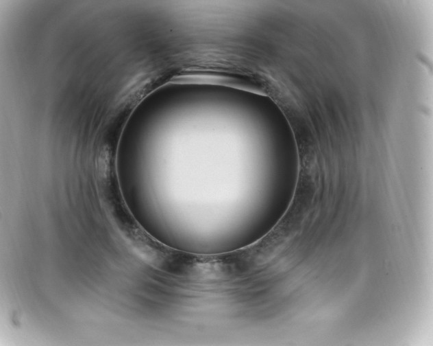 X0000099480744200805091608