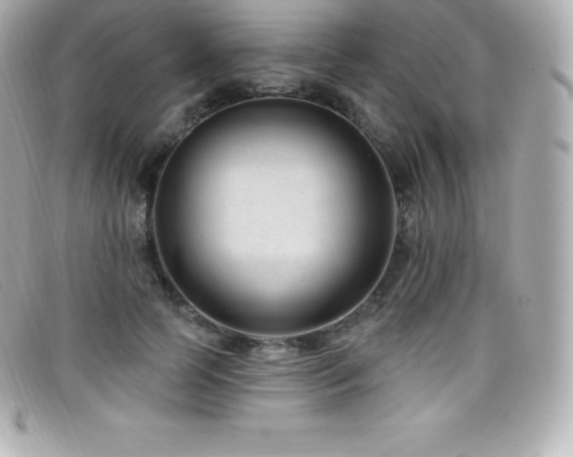 X0000099480745200805091608