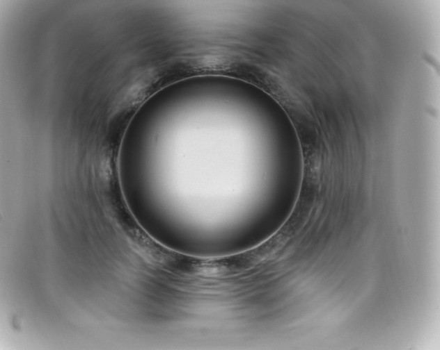 X0000099480746200805091608