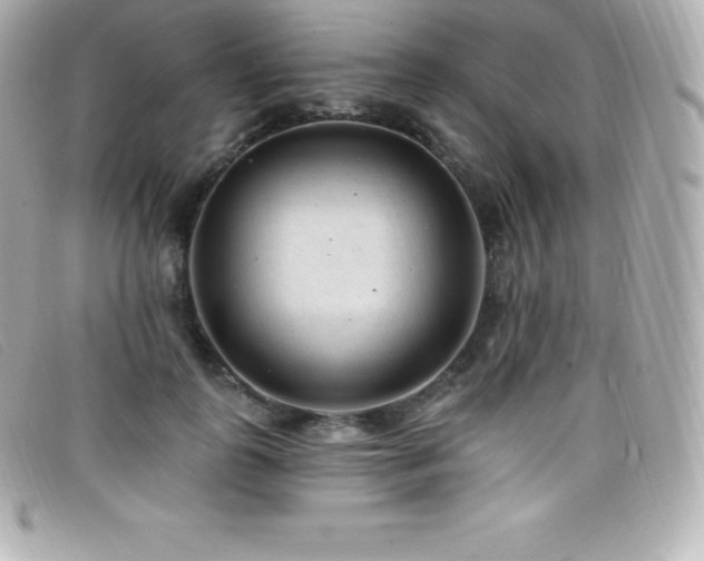 X0000099480747200805091608