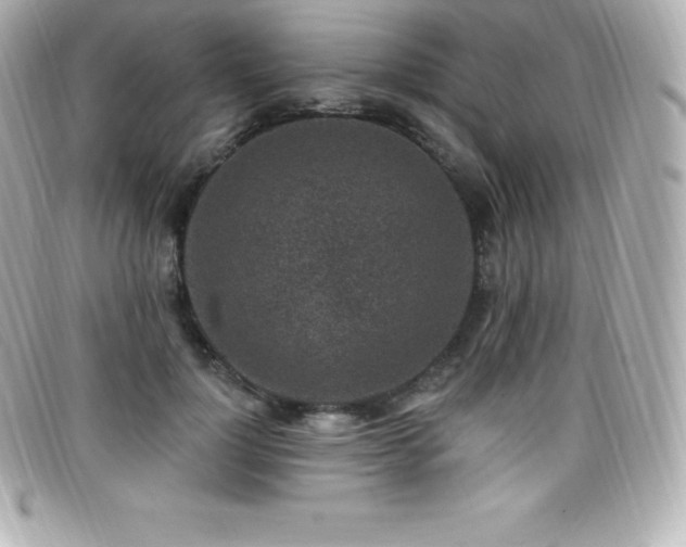 X0000099480748200805091608