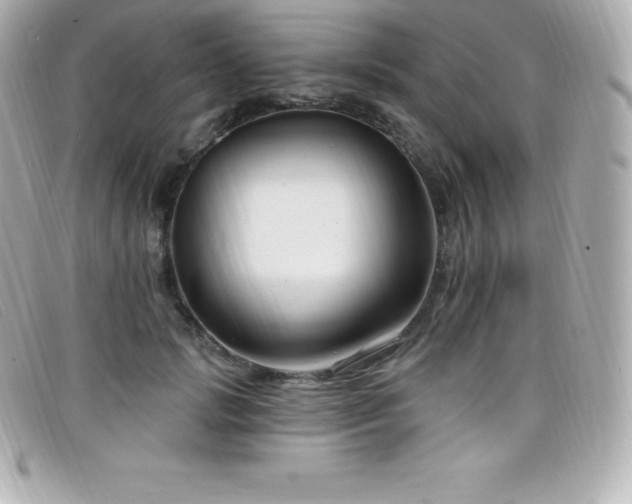 X0000099480749200805091608