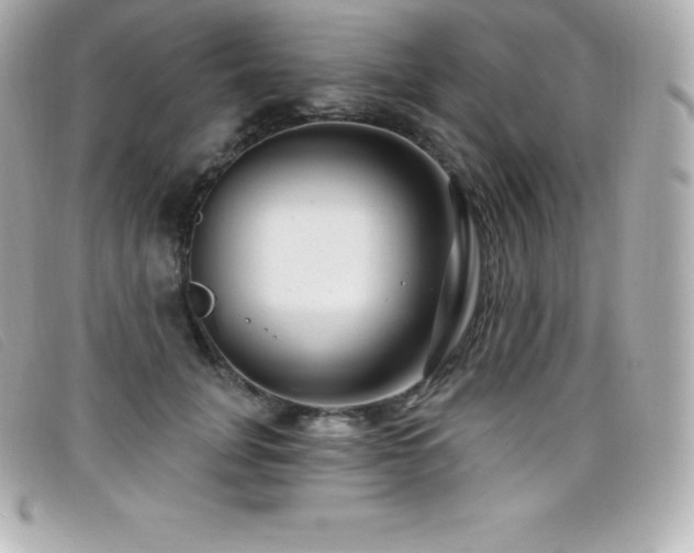 X0000099480751200805091608
