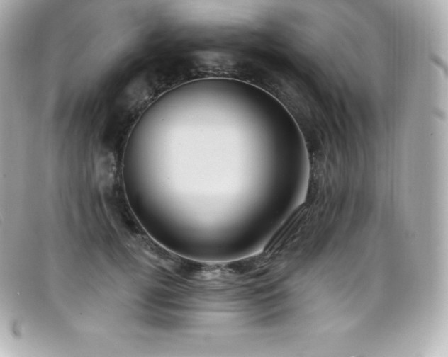 X0000099480752200805091608
