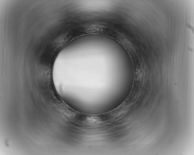 X0000099480753200805091608