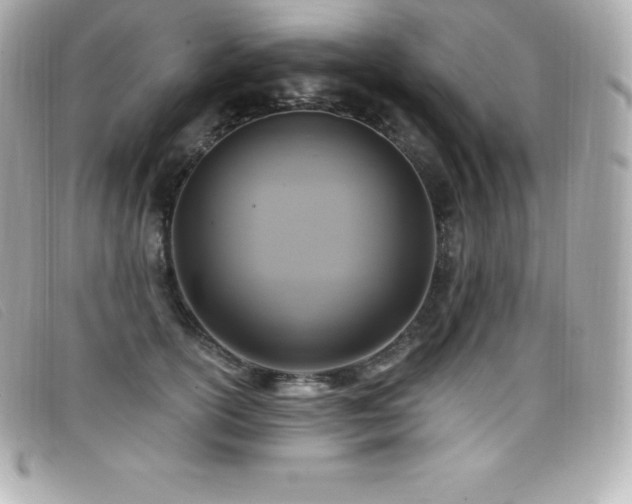 X0000099480754200805091608
