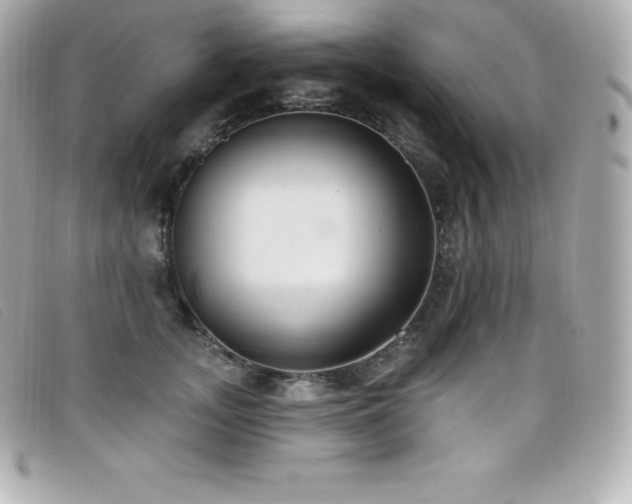 X0000099480755200805091608