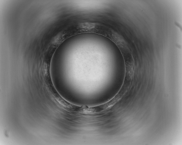 X0000099480758200805091608